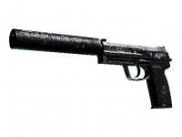 USP-S Ticket to Hell